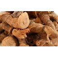 Professional supply new harvest buyer of galangal in china for sale